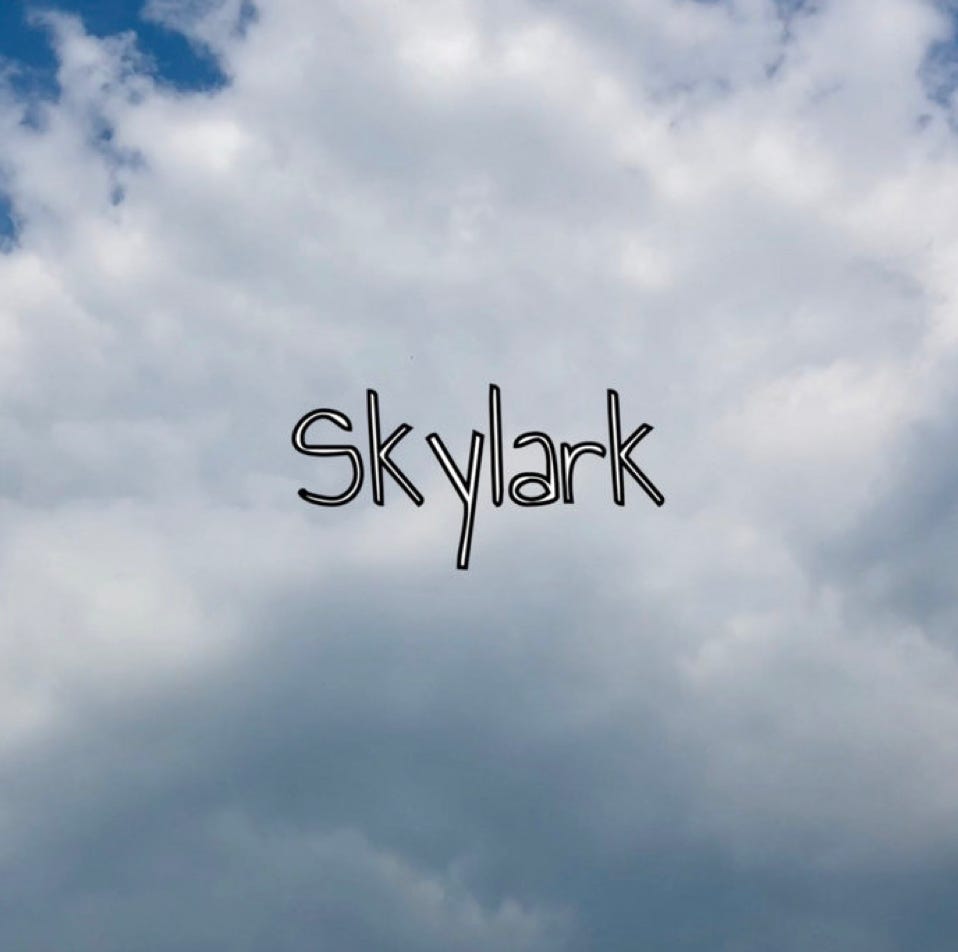 Skylark